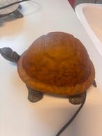 Lampe tortue, Enlèvement ou Envoi