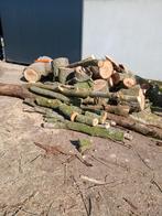 Brandhout, Tuin en Terras, Brandhout, Ophalen