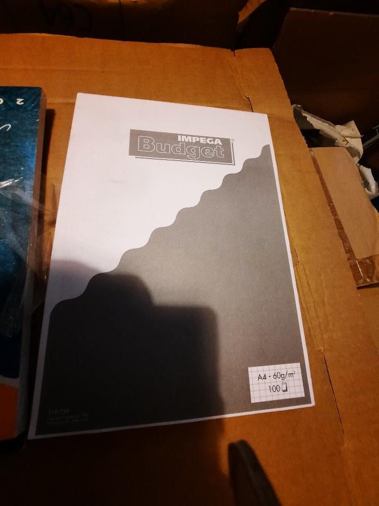 cursusblok nieuw a4 ruitjes, 100 bladen, Diversen, Schoolbenodigdheden, Ophalen of Verzenden, Nieuw