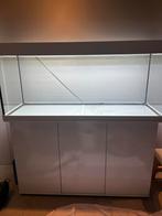 Aquarium Jewel rio 240, Animaux & Accessoires, Poissons | Aquariums & Accessoires, Enlèvement, Utilisé