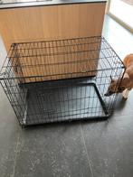 Ren, Dieren en Toebehoren, Ophalen