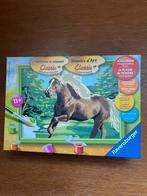 Schilderen op nummer, Hobby en Vrije tijd, Schilderen, Ophalen, Schilderen op nummer