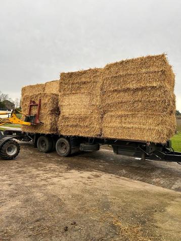 stro hooi  te koop zeer mooi kleine en grote pakken  beschikbaar voor biedingen