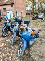 Honda sky 6 stuks, Enlèvement