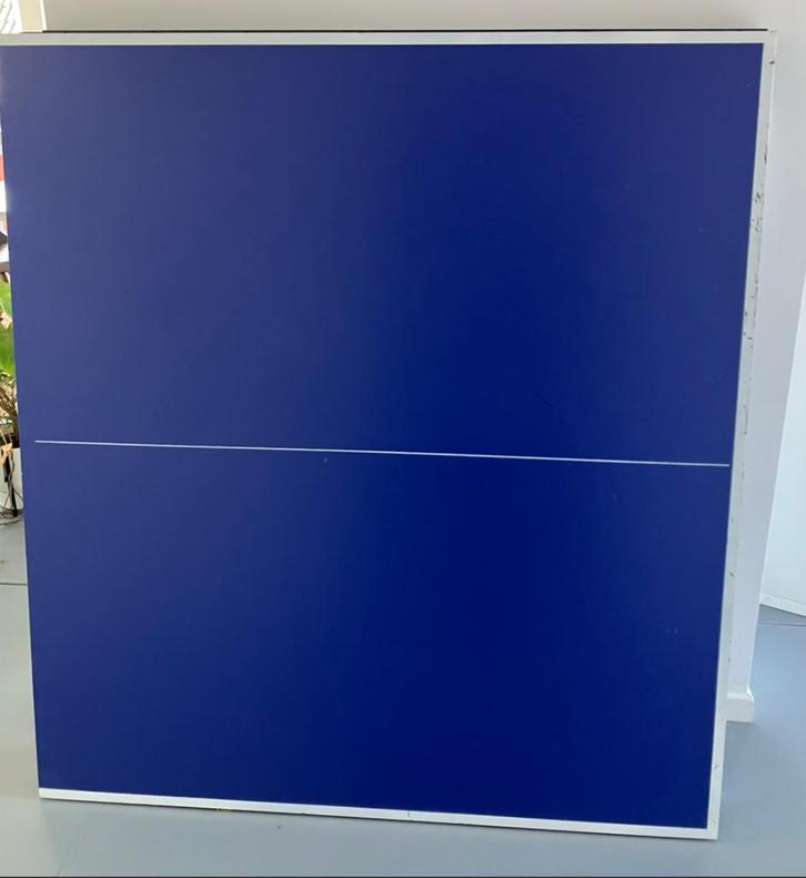 Tafeltennistafel TTT 100 Decathlon binnen, Sport en Fitness, Tafeltennis, Gebruikt, Tafel Indoor, Ophalen