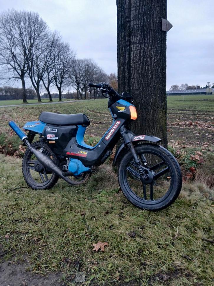 Honda wallaroo veel Malosie (met alle papieren), Fietsen en Brommers, Brommers | Honda, Zo goed als nieuw, Ophalen