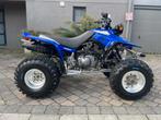Yamaha 350 warrior homologue route NEUF, Motoren