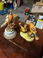 Beeldjes vogel, Enlèvement, Utilisé, Animal