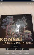 Bonsaï jardin miniature, Hobby en Vrije tijd, Ophalen, Zo goed als nieuw