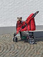 Poussette, Dieren en Toebehoren, Ophalen, Zo goed als nieuw