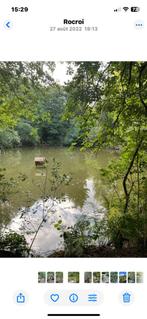 Terrain Etang rocroi, Immo, Rocroi, 1500 m² ou plus