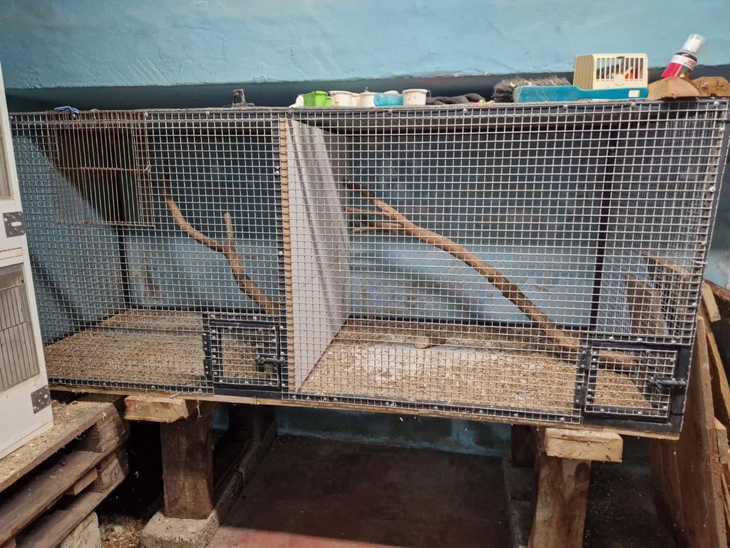 Voliere, Dieren en Toebehoren, Vogels | Hokken en Kooien, Gebruikt, Ophalen