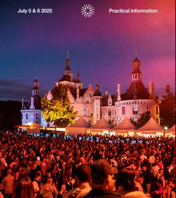 2 Combitickets Beauville Festival 5 & 6 juli Deinze beschikbaar voor biedingen