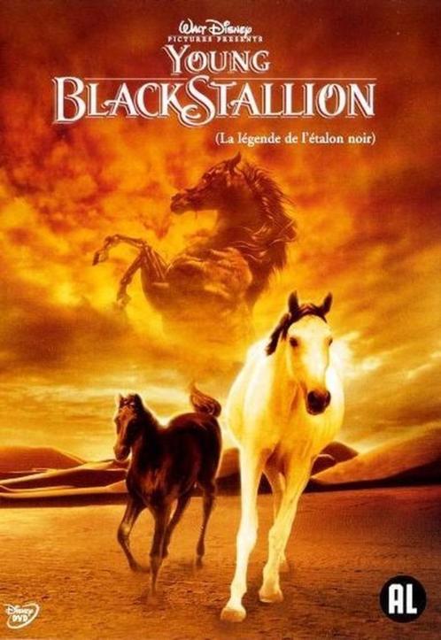 Disney dvd - Young Black Stallion, Cd's en Dvd's, Dvd's | Klassiekers, Ophalen of Verzenden