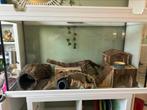 Hamster bak “aquarium” + benodigdheden, Dieren en Toebehoren, Knaagdieren en Konijnen | Hokken en Kooien, Kooi, Zo goed als nieuw