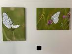 2 fotocanvassen vlinder, Ophalen of Verzenden