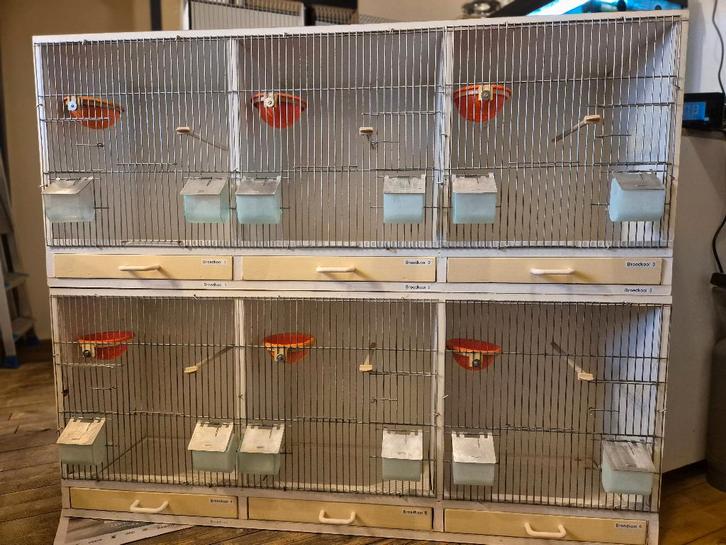 Twee broedkooien 3-delig (wit), Dieren en Toebehoren, Vogels | Hokken en Kooien, Gebruikt, Broedkooi of Kweekkooi, Hout, Ophalen