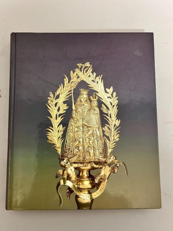 Virga Jesse. De schat van de Hasselaar., Boeken, Geschiedenis | Stad en Regio, Gelezen, 17e en 18e eeuw, Ophalen of Verzenden