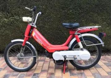Honda Camino recherchée, Enlèvement