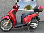 Honda SH 125CC, Scooter, Bedrijf, 125 cc, 11 kW of minder