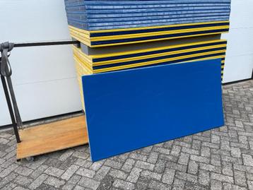 judomat 100 m2 geel met blauwe rand. judo mat, judomatten beschikbaar voor biedingen