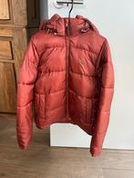 Winterjas America Today, Oranje, Ophalen of Verzenden, Zo goed als nieuw, Maat 36 (S)