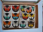 vintage educatief spel lotto vlinders J. Blokland, Enlèvement ou Envoi