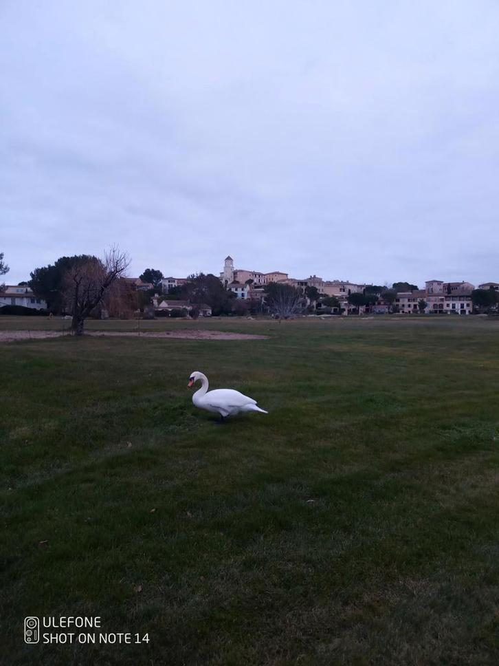 APPART 45 M2 GOLF PONT ROYAL FRANCE, Immo, Maisons à vendre