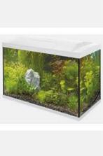 Aquarium Superfish start 70 Tropical, Ophalen of Verzenden, Zo goed als nieuw