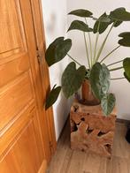 2 teakhouten kubussen, Huis en Inrichting, Woonaccessoires | Zuilen en Pilaren, Ophalen, Zo goed als nieuw