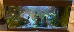 Juwel 180L te koop