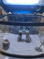 Superfish 60 liter aquarium in goede staat, Enlèvement