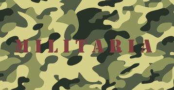 ABL Militaira in één koop !, Enlèvement ou Envoi, Autres, Autres types