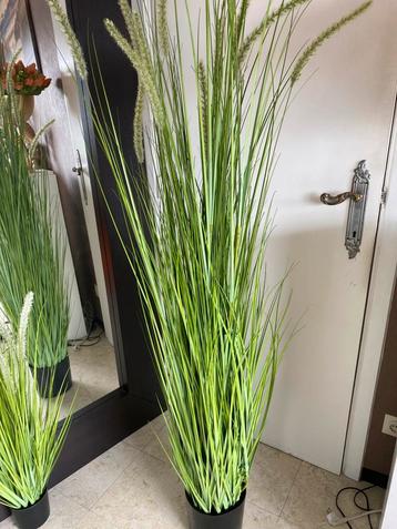 Kunstplant kwaliteit voor binnen/buiten groot model 180cm !  beschikbaar voor biedingen
