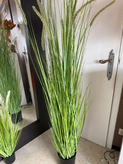 Kunstplant kwaliteit voor binnen/buiten groot model 180cm !, Huis en Inrichting, Woonaccessoires | Kunstplanten en Kunstbloemen
