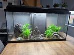 Aquarium - starterspakket, Ophalen, Zo goed als nieuw, Leeg aquarium