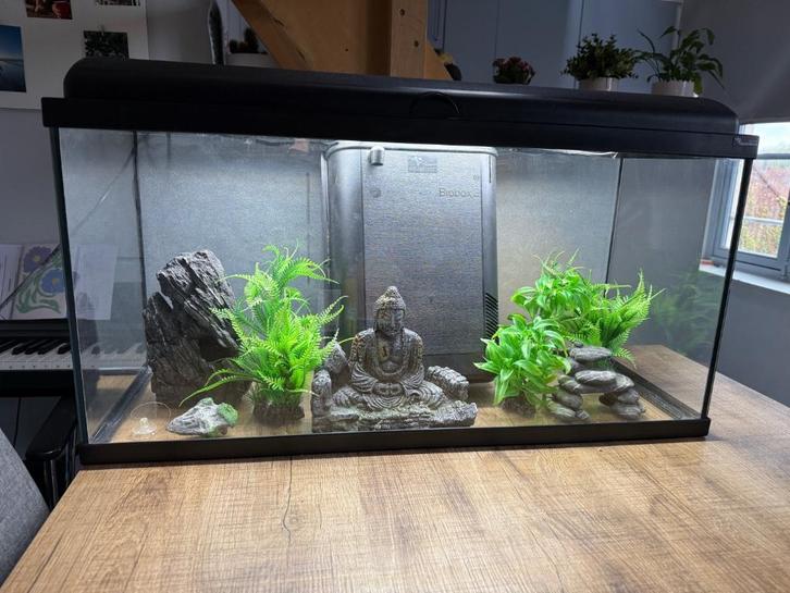 Aquarium - starterspakket, Dieren en Toebehoren, Vissen | Aquaria en Toebehoren, Zo goed als nieuw, Leeg aquarium, Ophalen