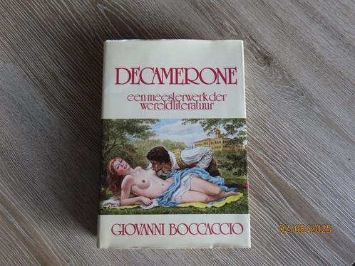 Boek - Decamerone (Giovanni Boccaccio), Boeken, Overige Boeken, Zo goed als nieuw, Ophalen of Verzenden