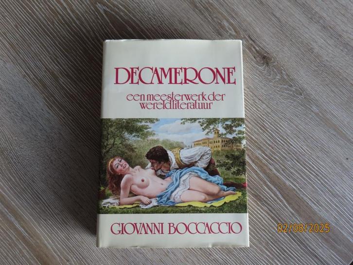 Boek - Decamerone (Giovanni Boccaccio), Boeken, Overige Boeken, Zo goed als nieuw, Ophalen of Verzenden
