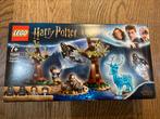 LEGO Harry Potter- Expecto Patronum 75945, Ensemble complet, Lego, Utilisé