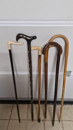 Canne satifesant de collection