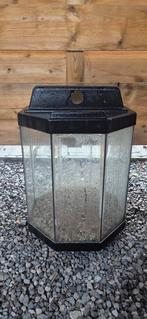 Terrarium, Enlèvement, Utilisé