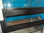 aquarium stelling 6 aquaria incl pomp voor 6 aquaria, Dieren en Toebehoren, Ophalen, Gebruikt, Leeg aquarium