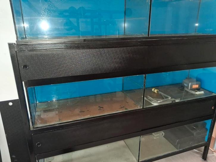 aquarium stelling 6 aquaria incl pomp voor 6 aquaria, Dieren en Toebehoren, Vissen | Aquaria en Toebehoren, Gebruikt, Leeg aquarium