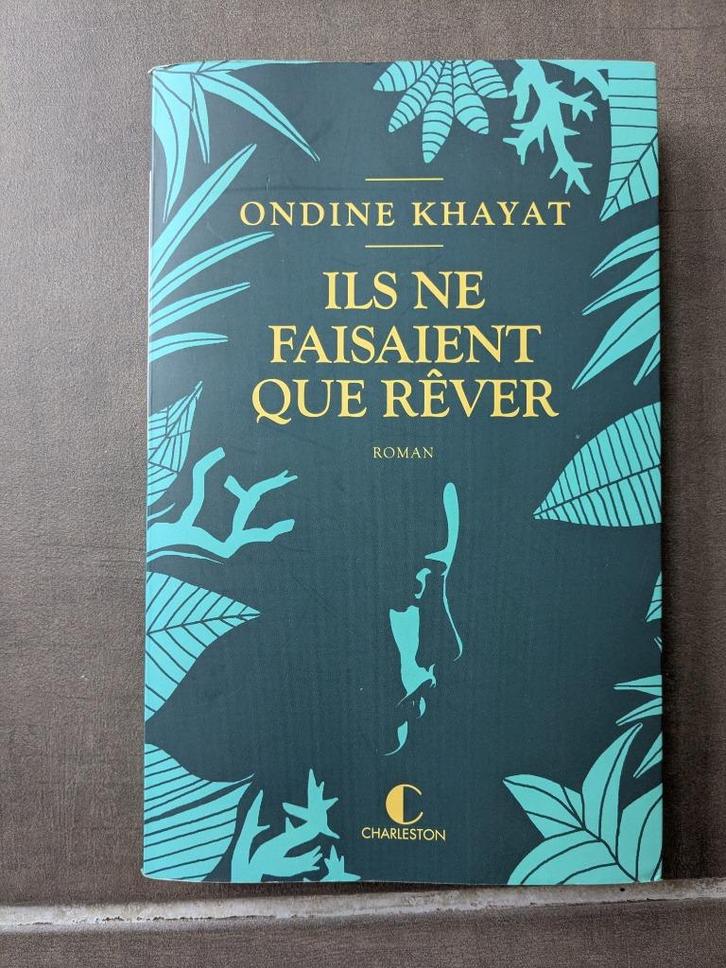 Livre : Ils ne faisaient que rêver, Boeken, Romans, Zo goed als nieuw, Ophalen of Verzenden