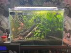 aquarium volledig pakket, Dieren en Toebehoren, Ophalen, Gebruikt