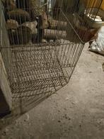 Demonteerbare metalen aardappelkooien, Tuin en Terras, Ophalen, Zo goed als nieuw