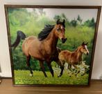 Kader paarden 58x58 cm, Huis en Inrichting, Ophalen, Gebruikt, 75 tot 100 cm, 75 cm of meer