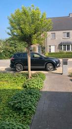 RAV4 Hybride Dynamic 4x4 09/2016 met 34.000km en trekhaak, Ophalen, Gebruikt, Toyota