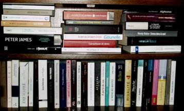 Lot de romans grand format beschikbaar voor biedingen